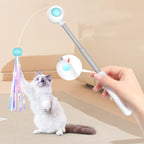 2-in-1 Retractable Cat Wand Toy