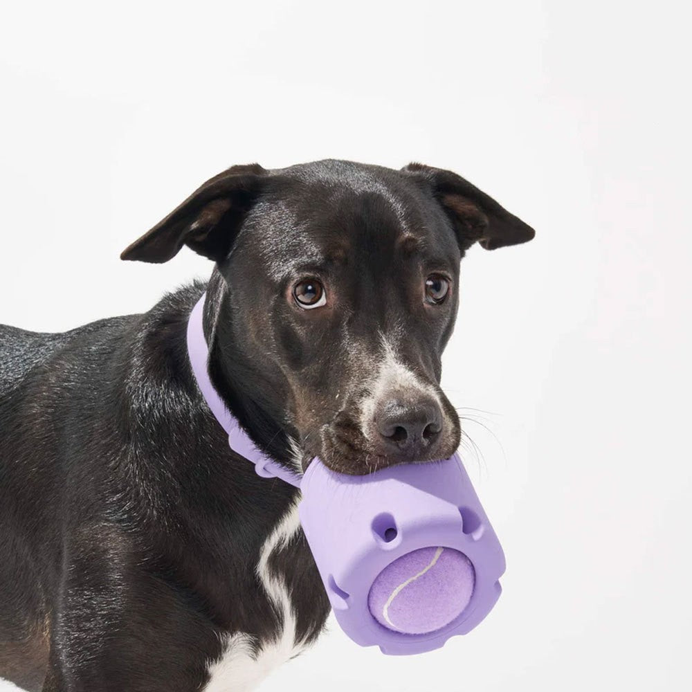 Natural Rubber Tennis Cup Dog Toy