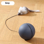 ToyTigris Intelligent Moving Ball With a Mouse Tail