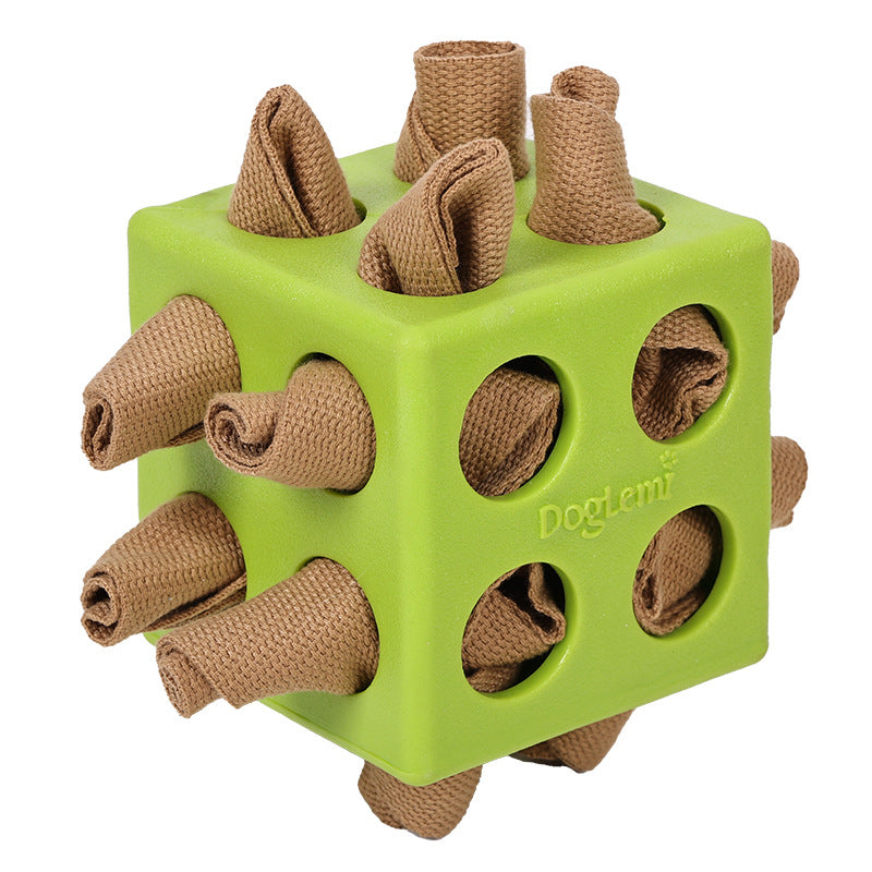 Educational Cube Molar Dog Toy
