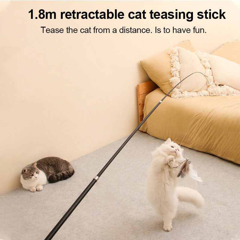 Cat playing with 180cm extendable feather wand interactive toy for exercise