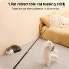 Cat playing with 180cm extendable feather wand interactive toy for exercise