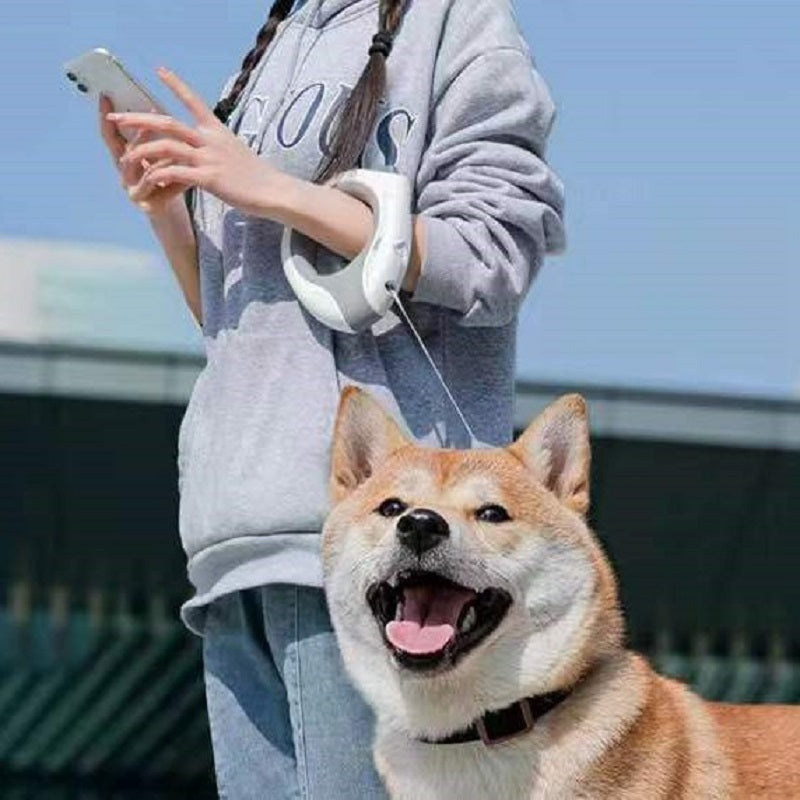 LED Automatic Retractable Leash