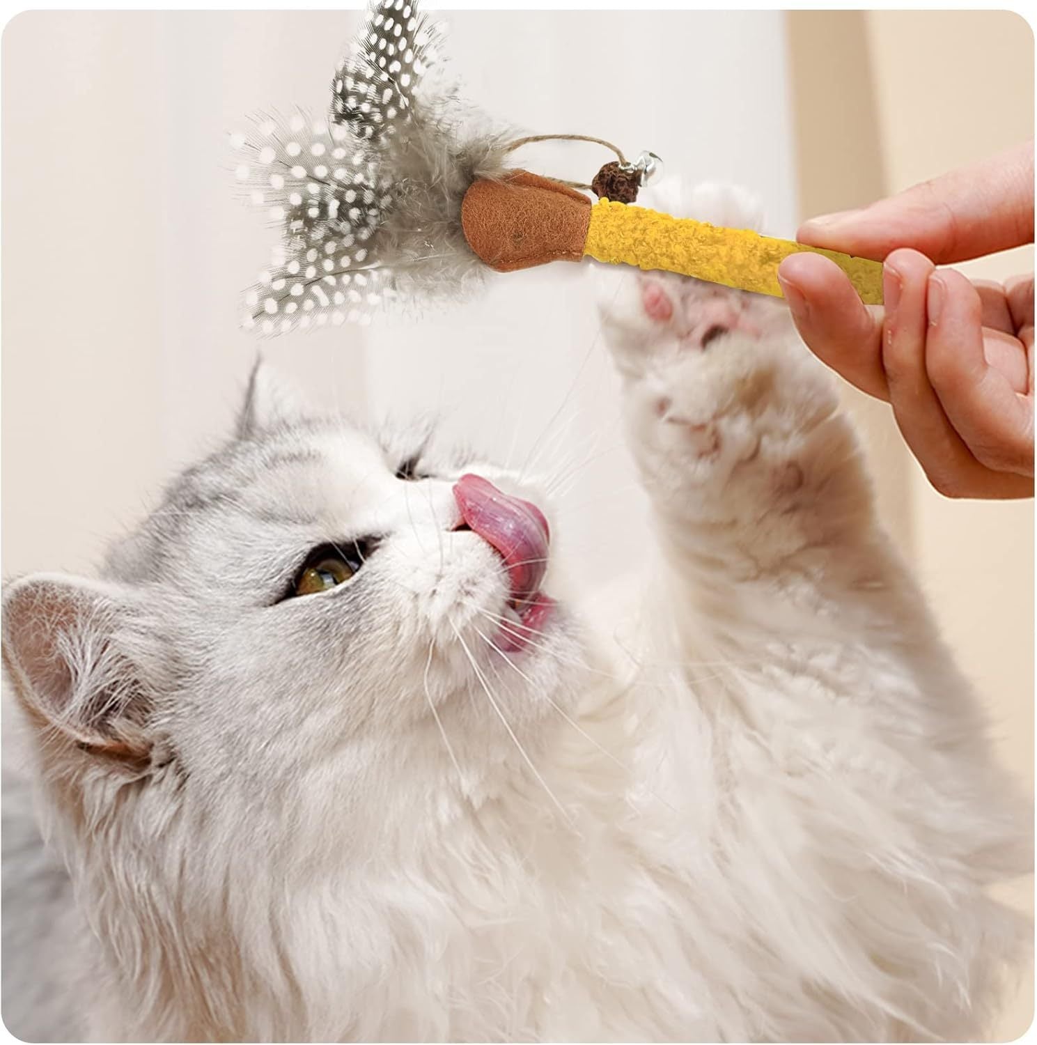 Catnip Feather Teasing Stick Toy