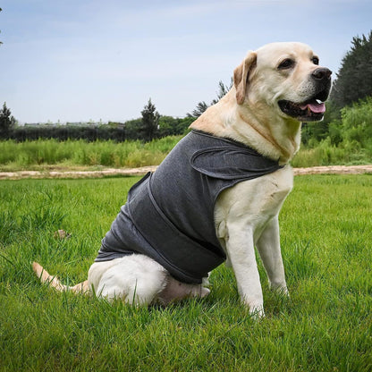 Classic Dog Anxiety Jacket – Breathable Thunder Vest to Calm Stress & Fear