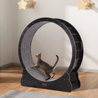 ToyTigris Large Wooden Cat Exercise Wheel for Indoor Cats