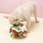Dog Sniffing Puzzle Ball