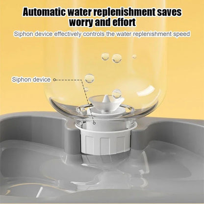 2-in-1 Tilted Pet Feeder Bowl with Automatic Water Dispenser