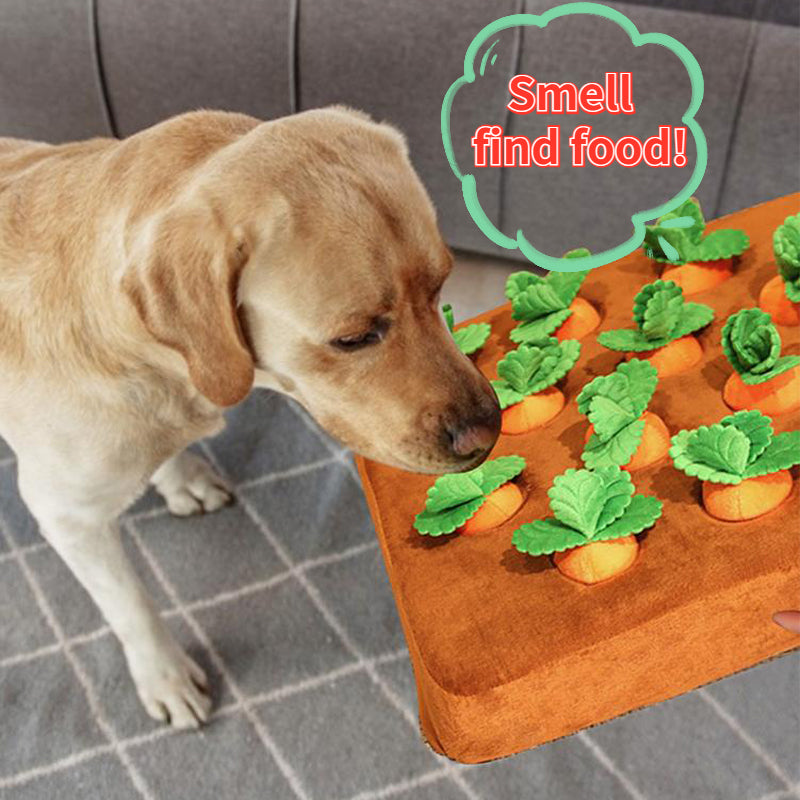Plush Carrot Vegetable Dog Toy