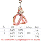 Small Cute Dog Harness & Leash