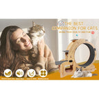 ToyTigris 6-in-1 Cat Fitness Wheel and Activity Centre