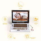 ToyTigris Cat Scratch Board Computer