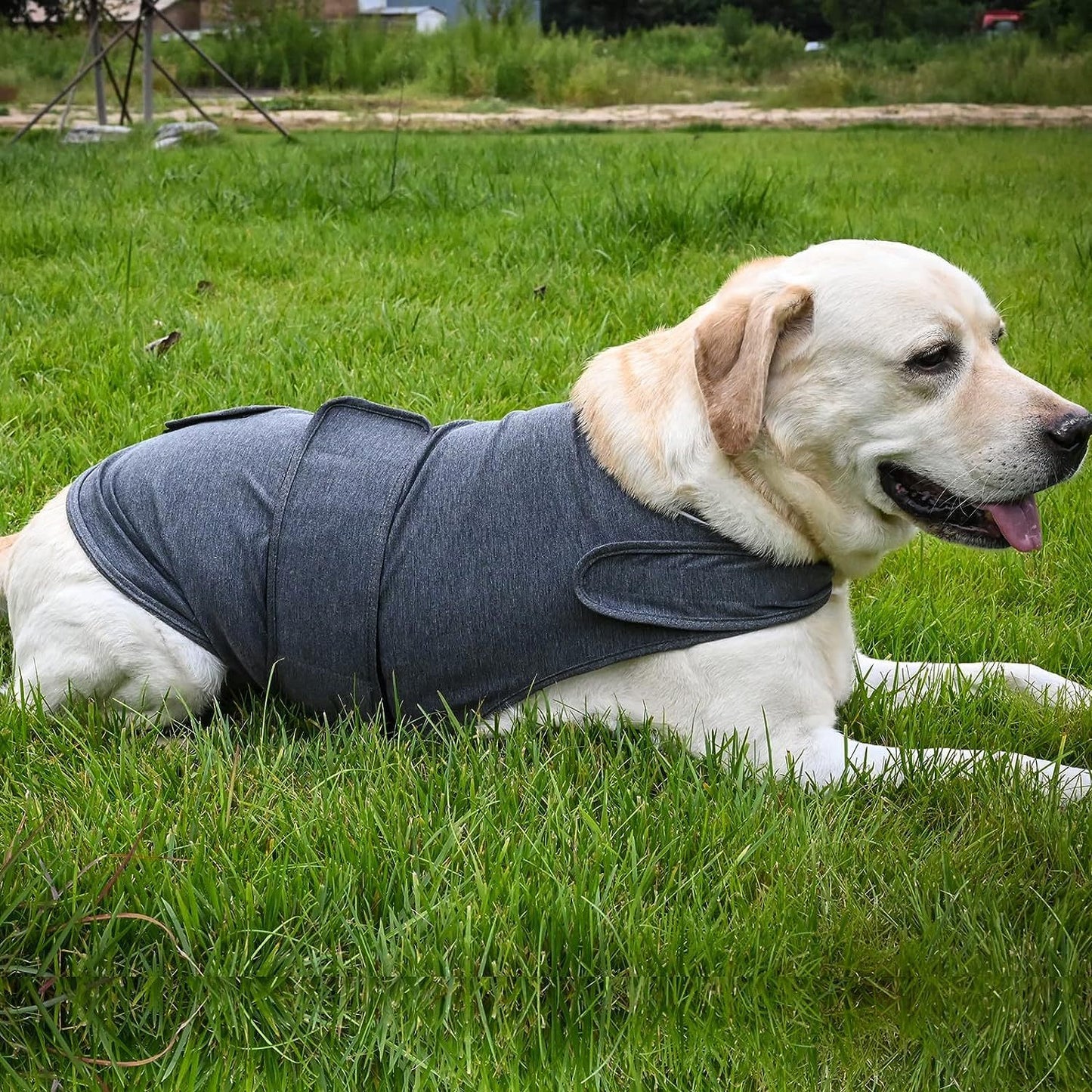 Classic Dog Anxiety Jacket – Breathable Thunder Vest to Calm Stress & Fear