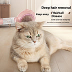 2 In 1 Water Spray Comb