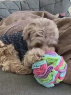 Dog Sniffing Training Blanket Snuffle Ball Mat Det
