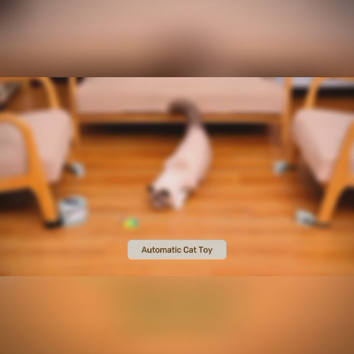 Automatic Electric Bird Cat Toy