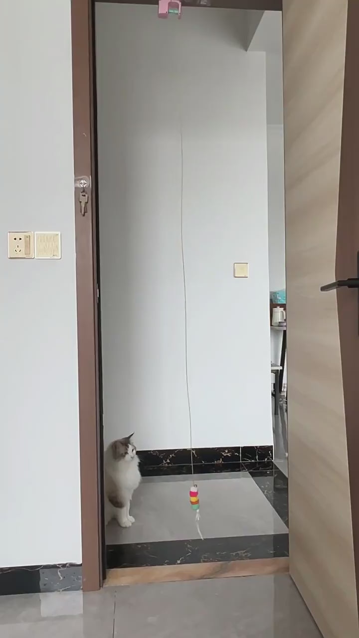 Hanging Automatic Moving Cat Toy