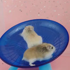 Hamster Flying Disc Running Wheel Golden Silk Bear