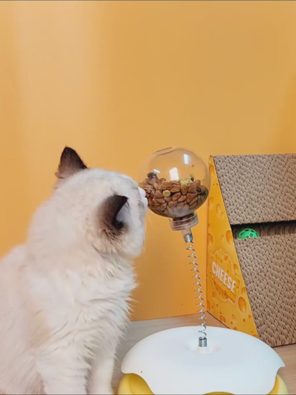 Leakage Food 2 In 1 Cat Toy