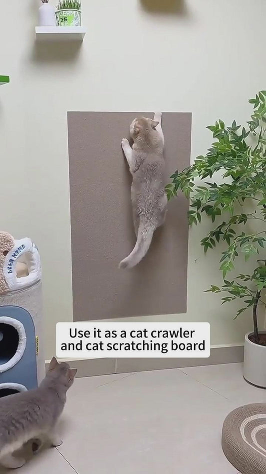 Self-Adhesive Cat Scratch Carpet