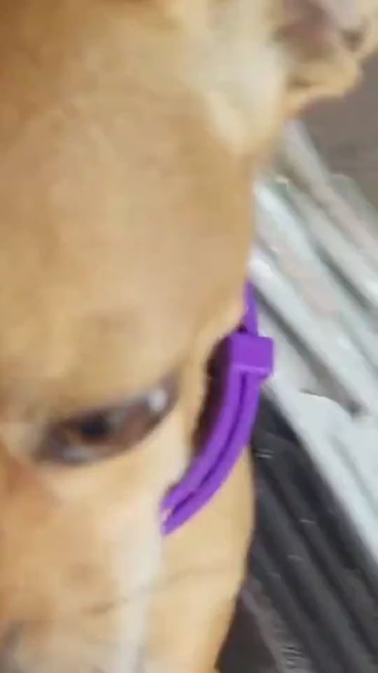 1.mp4