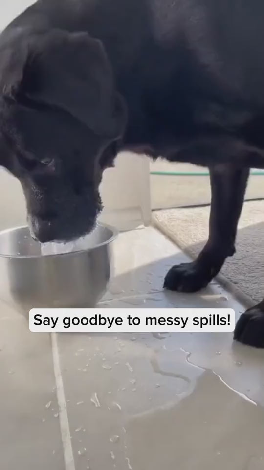 1.5L Pet Water Bowl Anti-Overflow