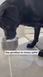 1.5L Pet Water Bowl Anti-Overflow