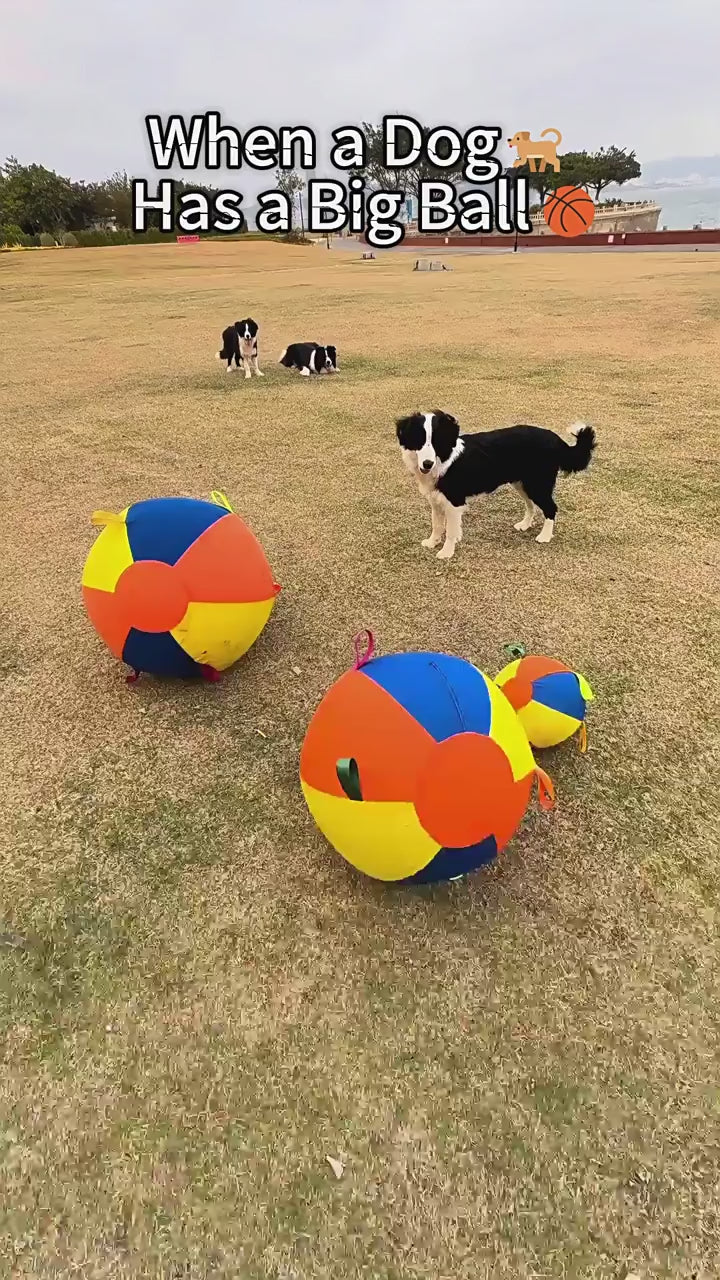 Inflatable Dog Play Ball - Colorful Interactive Toy
