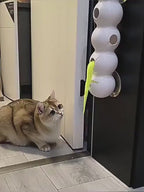 ToyTigris Smart Motion Tail Cat Toy
