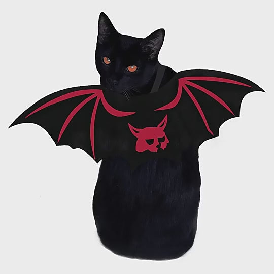 Halloween Pet Batwing Cat Pet Costume
