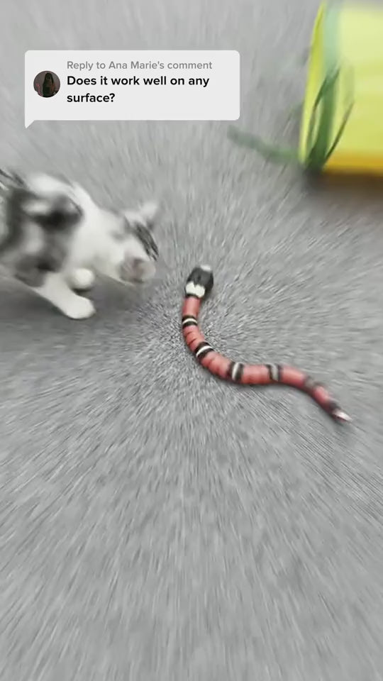 ToyTigris Moving Snake Cat Toy