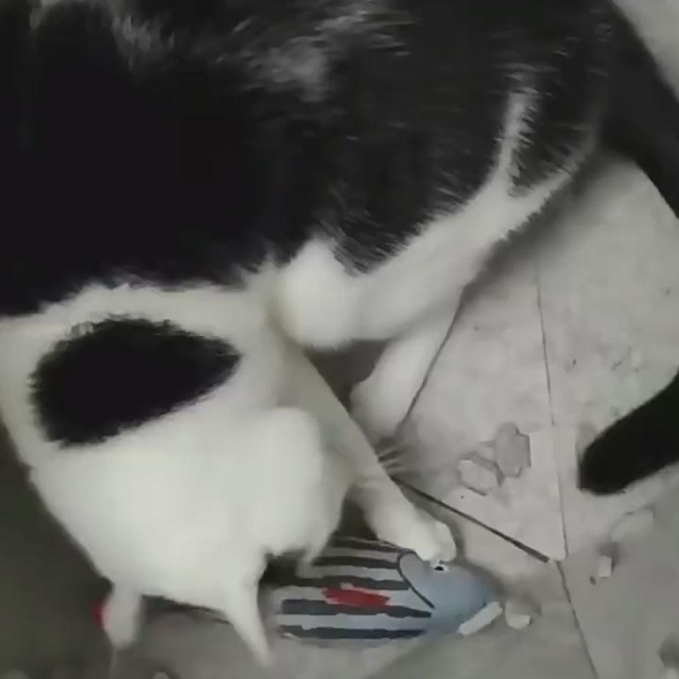 Plüsch-Fisch-Katzenminze-Spielzeug