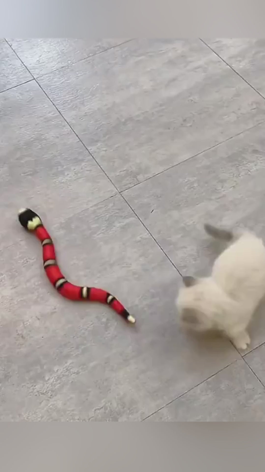 ToyTigris Moving Snake Cat Toy