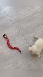 ToyTigris Moving Snake Cat Toy