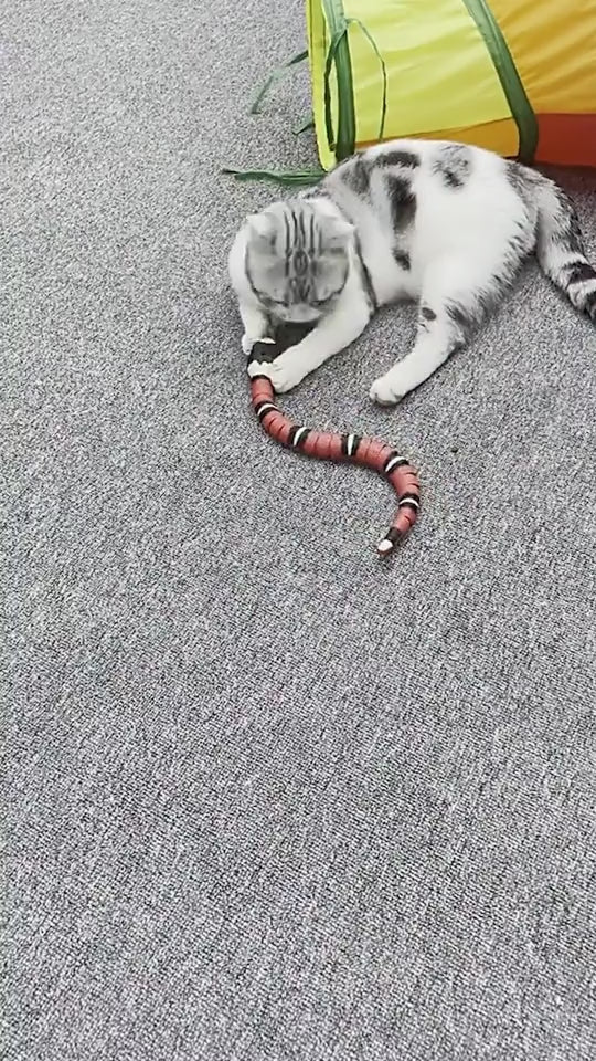 ToyTigris Moving Snake Cat Toy