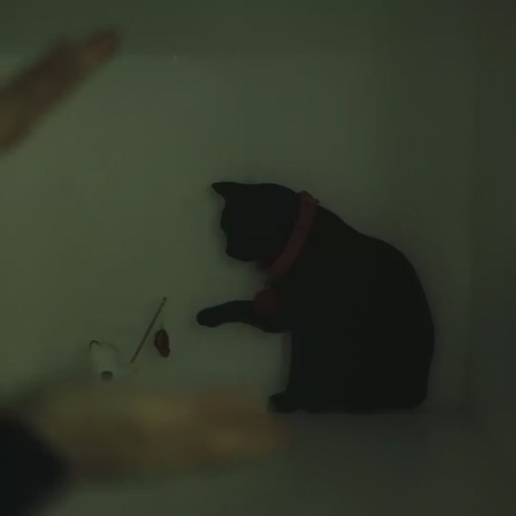 LED Katzen- und Hunde-Schatten-Nachtlicht