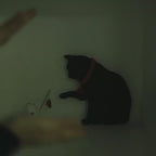 LED Cat & Dog Shadow Night Light