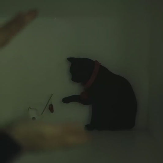 LED Cat & Dog Shadow Night Light