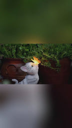 Creative Cat Butterfly Garden Resin Light