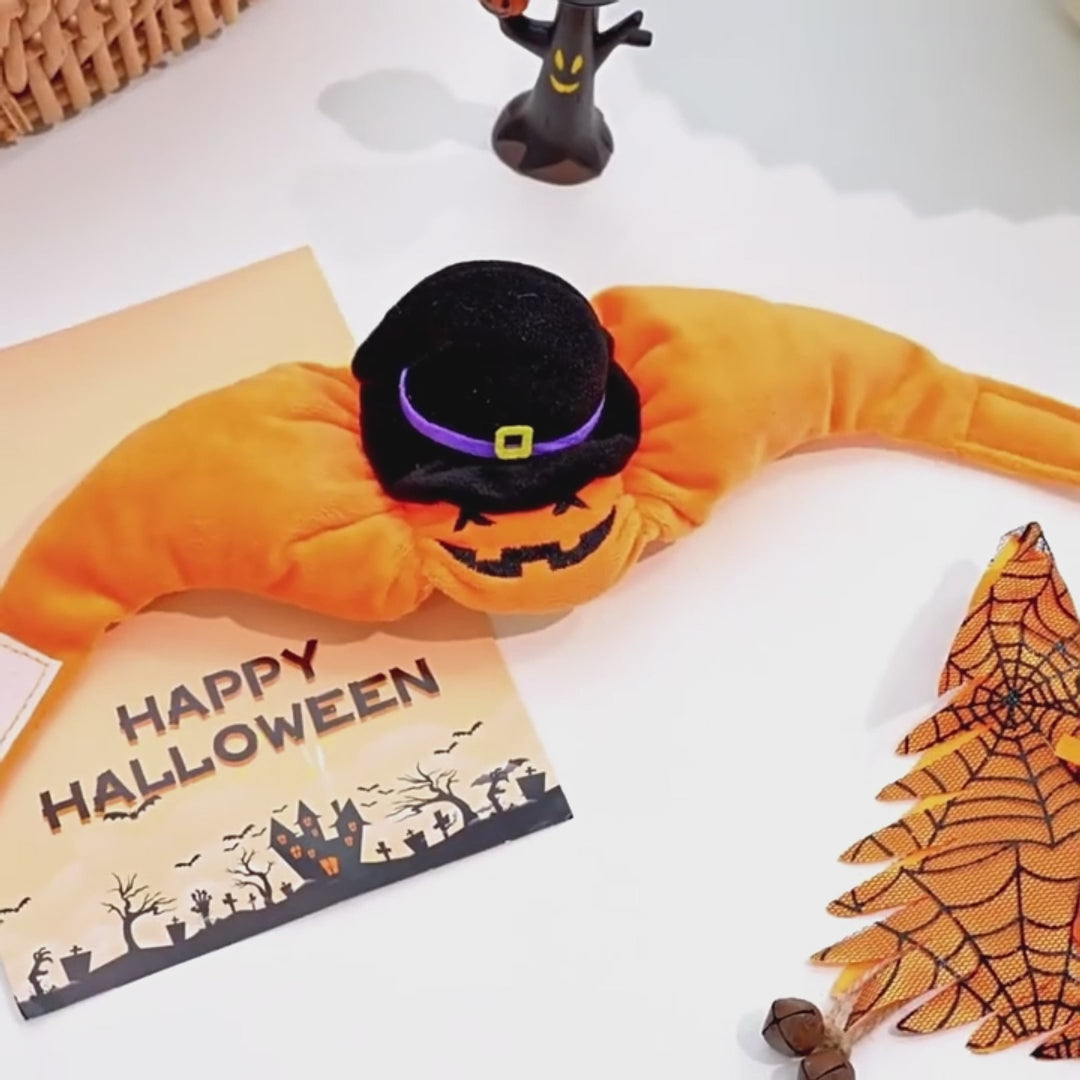 Halloween Pumpkin Costume for Pets