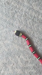 ToyTigris Moving Snake Cat Toy
