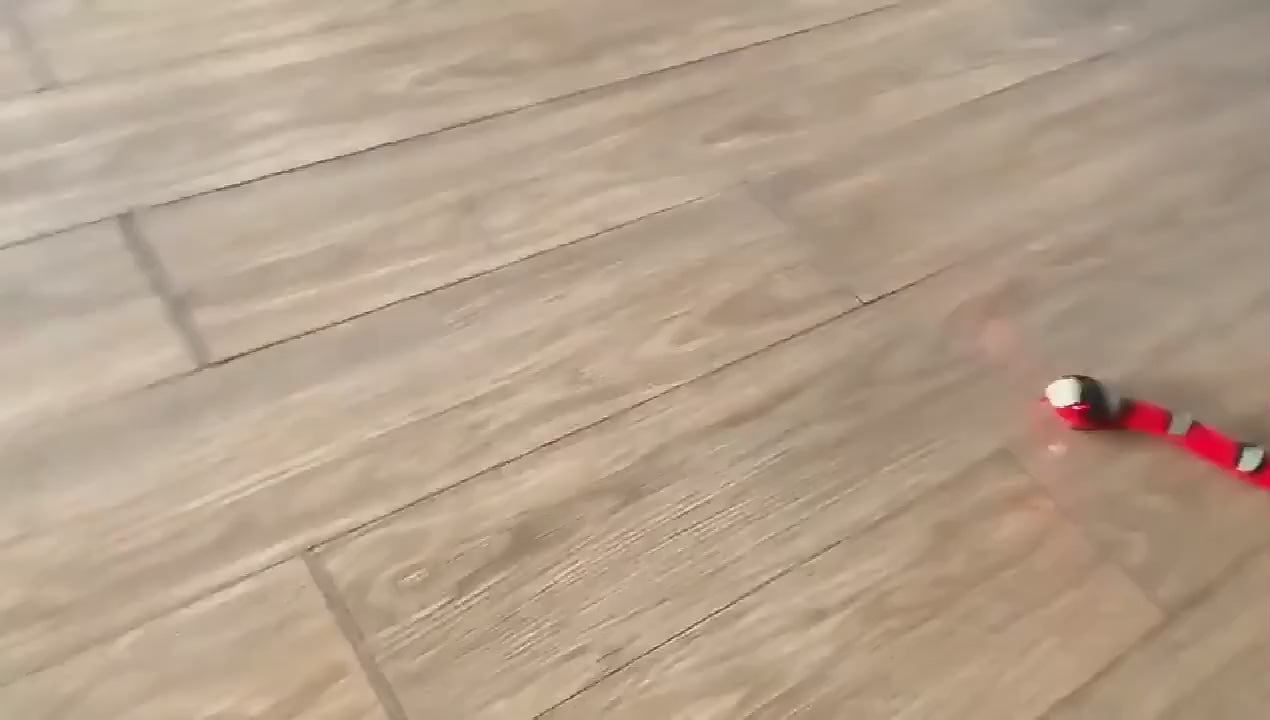 ToyTigris Moving Snake Cat Toy