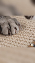 ToyTigris Cat Scratch Mat