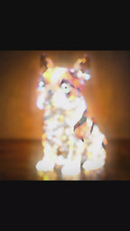 ToyTigris Crystal Pet Acrylic Decoration