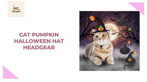 Cat Halloween Hat