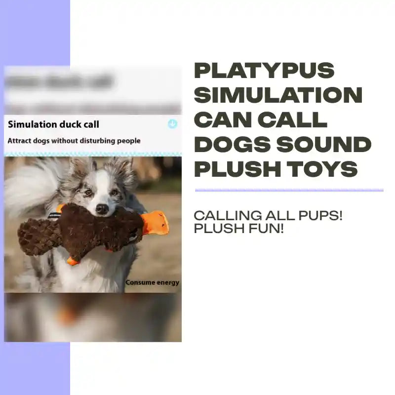 Platypus Simulation Can Call Dogs Sound Plush Toys by@Outfy