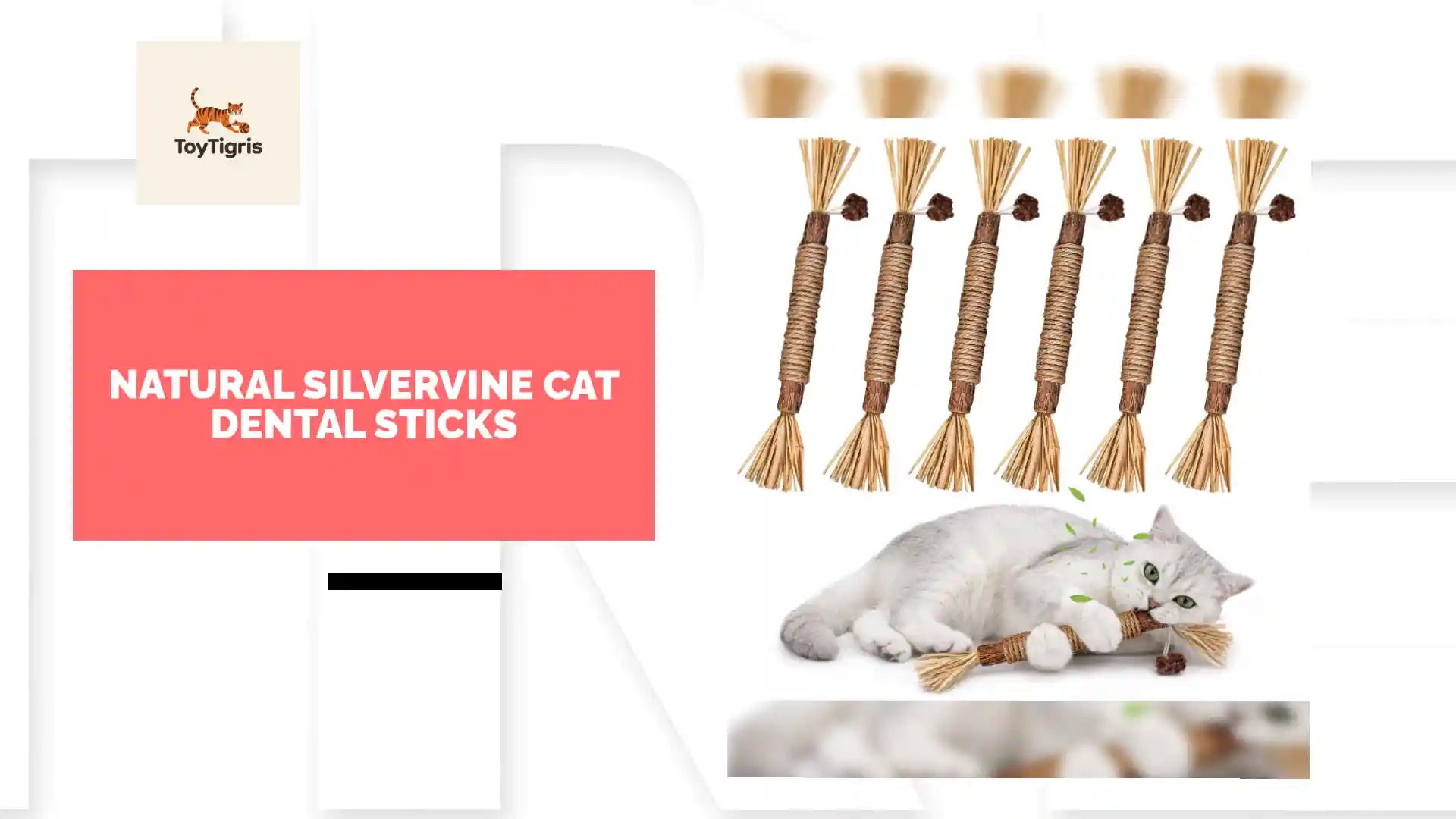 Natural Silvervine Cat Dental Sticks by@Outfy