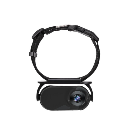 Haustier-Recorder HD Mini-Kamera Magnetsaugung
