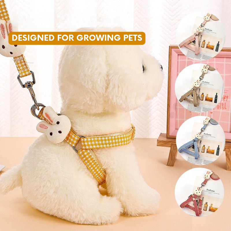 Small Cute Dog Harness & Leash