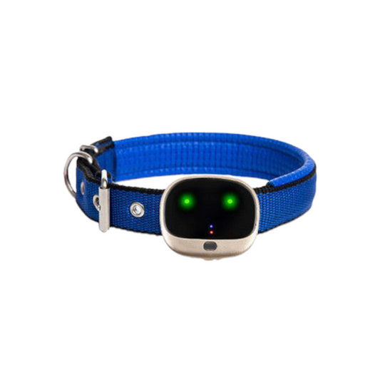 4G GPS Pet Tracker Collar with Night Vision